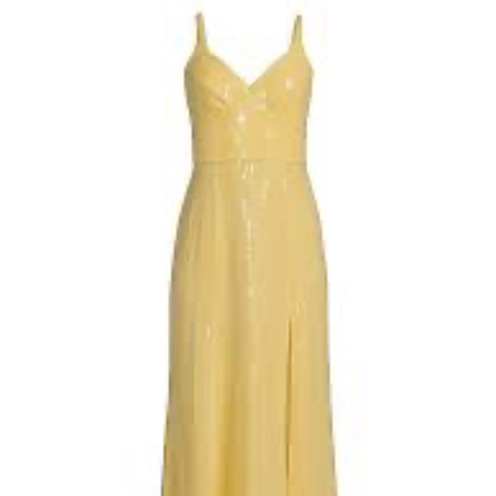 NWT Hutch Mikayla Sequin Dress